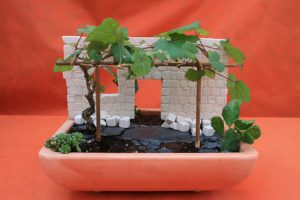 minijardin 1