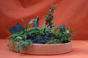 minijardin