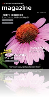 Magazine 1