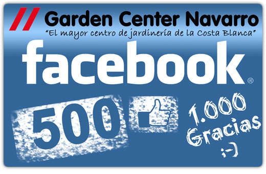 facebook500_520