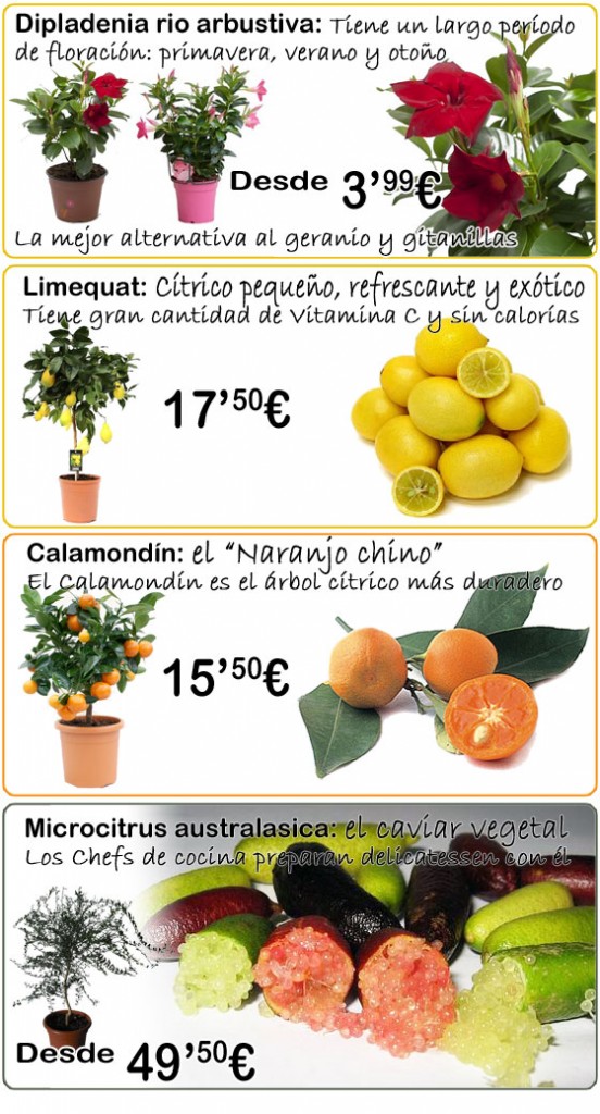 novedades_plantas_560