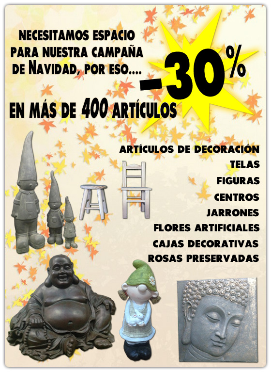 promociondecoracion560